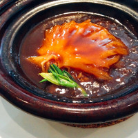 中國菜 心香 - フカヒレ姿煮土鍋ごはん
