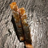 SUSHI TOKYO TEN、 新宿ニュウマン店 - 
