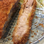 Fuji Katsu - 