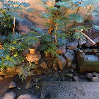 モリタ屋 木屋町店 - 