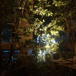 新宿中村屋Granna - [内観] 客席から見る窓辺の樹木