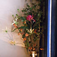 SALONE 2007 - 店内花