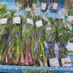 道の駅 ふたつい きみまちの里 - 販売している天然山菜