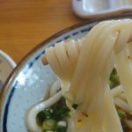 Yamagami Udon - 麺はやや細め