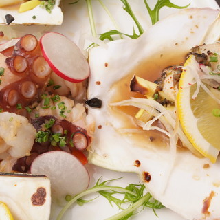 ターヴォラ カルダ モンステラ_2