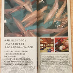 河太郎 - パンフレット