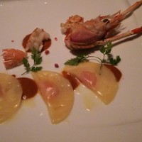 XEX TOKYO / Salvatore Cuomo Bros. - 