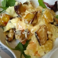 トゥーランドット 臥龍居  - ランチ：海老のマヨネーズ炒め