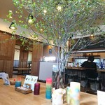 ココペリ - 癒される木～(^^)