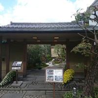 平等院表参道 竹林 - 