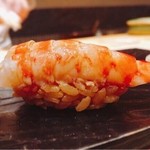 鮨 とかみ - 2016.10.  車海老