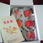 桔梗屋 本社 - 信玄桃