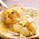 鳥ばか一代 - 