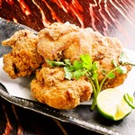 鳥ばか一代 - 