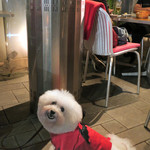 エビスエスクラッシコ -  Happy Halloween〜♬