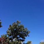 THE KITCHEN K’s Garden - 