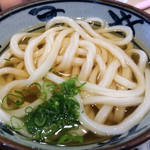 宮武讃岐うどん - かけうどん 並。「本場流の価格」も嬉しい一杯です(^_^)