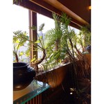 かにしげ - 食後に再び後ろの窓を