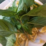 Hale Vietnam Restaurant - お皿にたっぷりもやしとハーブがきます