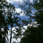 カフェ・ル・プティ・ニ・トロワ - 2016.8