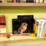 カフェ ホーホー - ふくろうの専門書もたくさん！