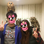 カフェ ホーホー - 可愛らしいふくろう達に癒されました！