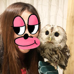 カフェ ホーホー - こんなに近くでも嫌がられず♡