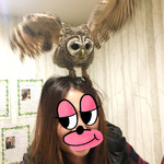 カフェ ホーホー - バタバタ（笑）