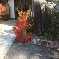 柳家 - 