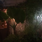 うりずん - 周りの南国植物が盛り上げます。