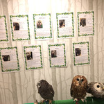 カフェ ホーホー - ふくろうチャン達の紹介が書いてあったよ〜