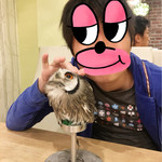 カフェ ホーホー - テーブルに遊びに来てくれました