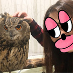 カフェ ホーホー - このお店で一番大きなふくろうさん