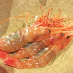 銀座 しのはら - 増毛産の牡丹海老