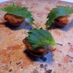 Restaurant Satoshi.F - 白子のムニエル