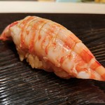 鮨 とかみ - 車海老