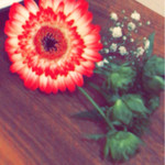 アレグロ コン ブリオ - 