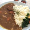 Hawaii Curry - 料理写真:ビーフカレー＄６