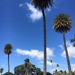 Hawaii Curry - いい天気