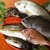 太郎右衛門 - 料理写真:天然のお魚たち