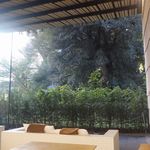 廚 菓子 くろぎ - とある11月の初め頃に厨菓子くろぎへと再来訪し