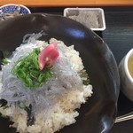 安芸しらす食堂 - どろめ（生しらす）丼単品