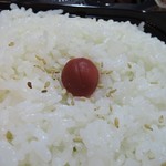 キッチンはうす - こめうめ