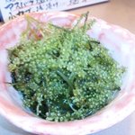 季の花 - 海ぶどう；店内の水槽で大切に飼育されている