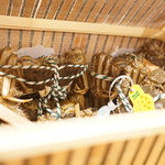 銀座 しのはら - 上海蟹