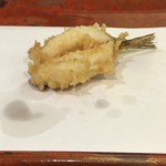 江戸前晋作 - めごち（銚子）