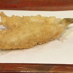 江戸前晋作 - 鱚（富津）