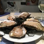 The Oyster Bar - 