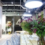 Nothing Better - 店内