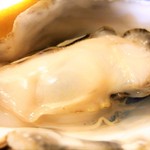 KAKIYA シェル＆シュリンプ - 身が固くならない、プルンプルンで美味しいね♪